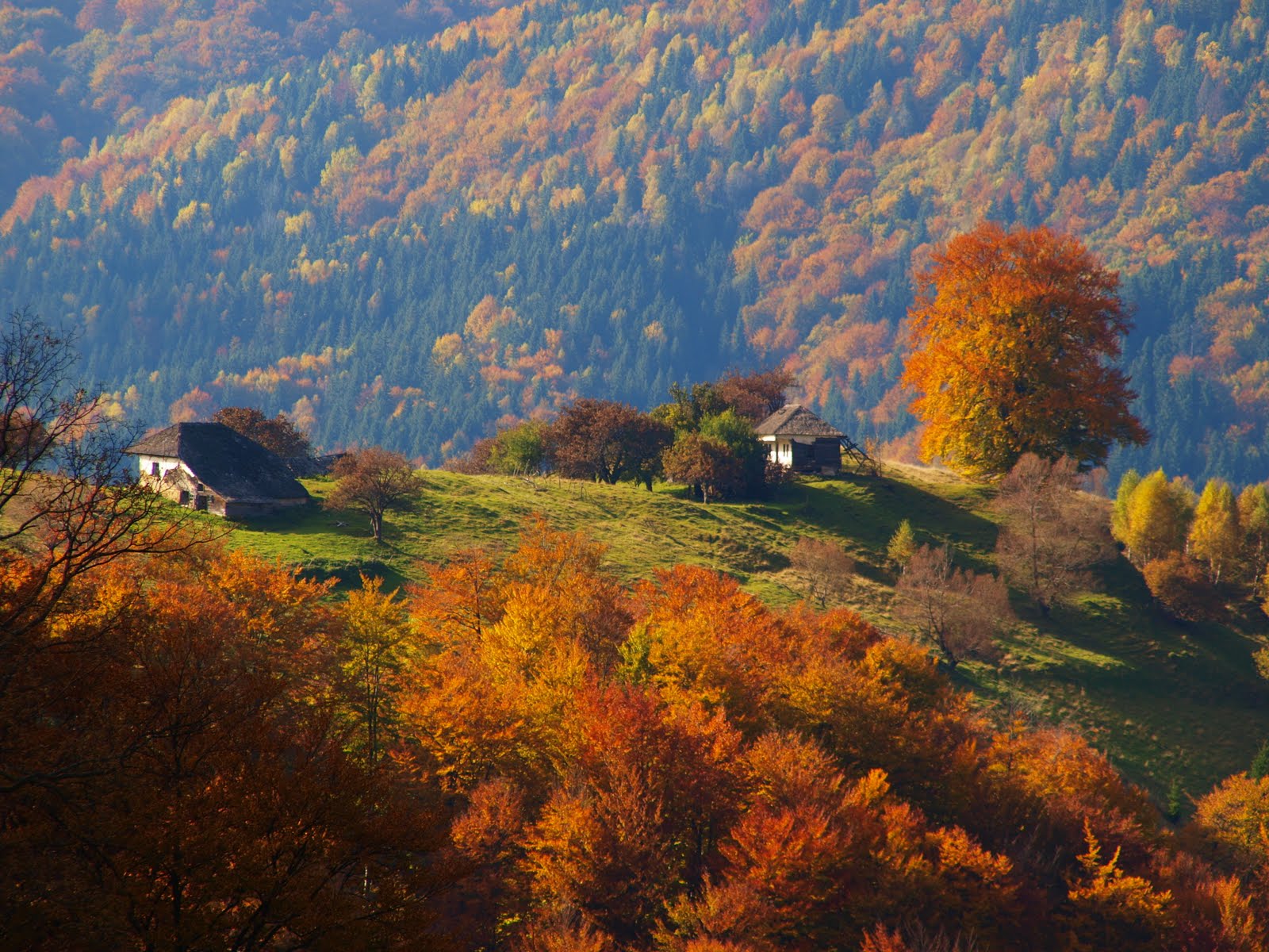 Румыния Трансильвания осень